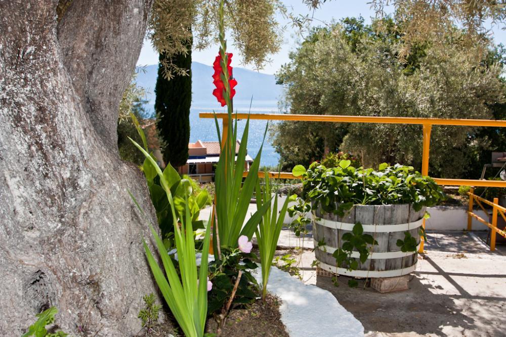 Valedina Rooms Никиана Экстерьер фото